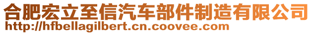 合肥宏立至信汽車部件制造有限公司