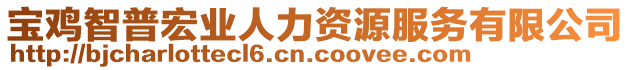 寶雞智普宏業(yè)人力資源服務(wù)有限公司