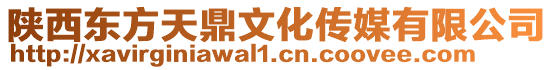 陜西東方天鼎文化傳媒有限公司
