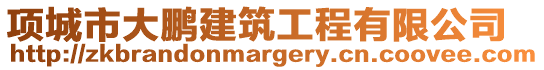 項城市大鵬建筑工程有限公司