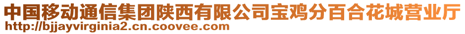 中國移動通信集團陜西有限公司寶雞分百合花城營業(yè)廳