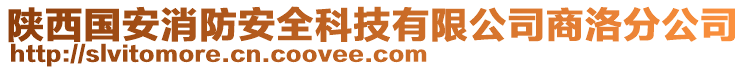 陜西國安消防安全科技有限公司商洛分公司