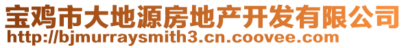 寶雞市大地源房地產(chǎn)開(kāi)發(fā)有限公司