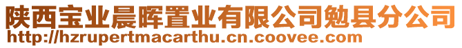 陕西宝业晨晖置业有限公司勉县分公司