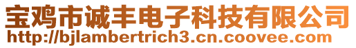 寶雞市誠豐電子科技有限公司