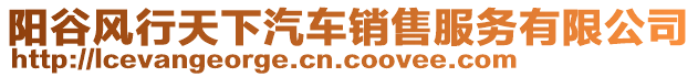 陽谷風(fēng)行天下汽車銷售服務(wù)有限公司