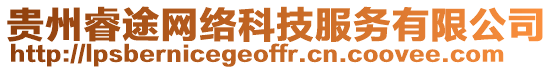 貴州睿途網(wǎng)絡(luò)科技服務(wù)有限公司