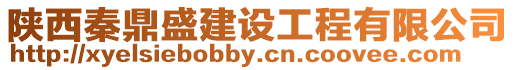 陜西秦鼎盛建設(shè)工程有限公司
