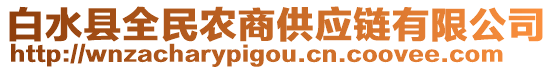 白水縣全民農商供應鏈有限公司