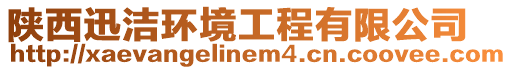 陜西迅潔環境工程有限公司