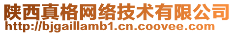 陜西真格網(wǎng)絡(luò)技術(shù)有限公司