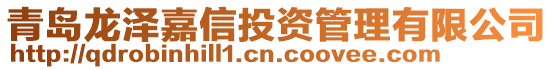 青島龍澤嘉信投資管理有限公司