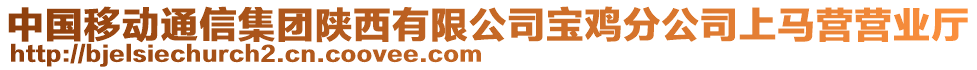 中國(guó)移動(dòng)通信集團(tuán)陜西有限公司寶雞分公司上馬營(yíng)營(yíng)業(yè)廳