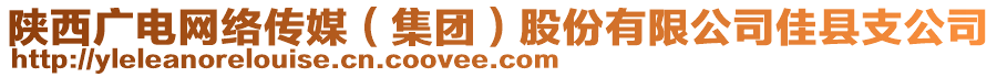 陜西廣電網(wǎng)絡(luò)傳媒（集團(tuán)）股份有限公司佳縣支公司