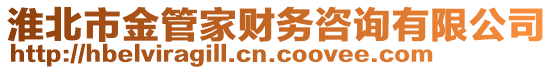 淮北市金管家財務咨詢有限公司