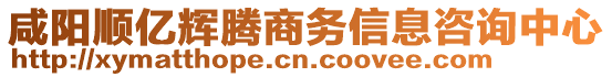 咸陽順億輝騰商務(wù)信息咨詢中心