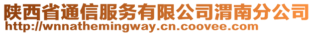 陜西省通信服務有限公司渭南分公司