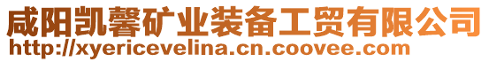 咸陽凱馨礦業(yè)裝備工貿(mào)有限公司