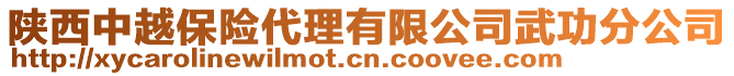 陕西中越保险代理有限公司武功分公司