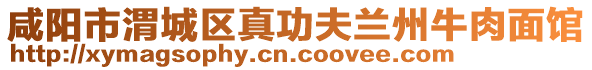 咸陽(yáng)市渭城區(qū)真功夫蘭州牛肉面館