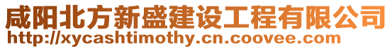 咸陽(yáng)北方新盛建設(shè)工程有限公司