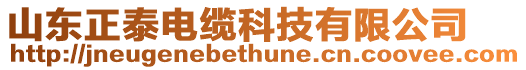 山東正泰電纜科技有限公司