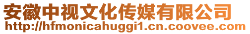 安徽中視文化傳媒有限公司