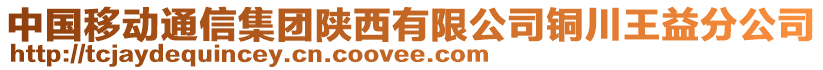 中國(guó)移動(dòng)通信集團(tuán)陜西有限公司銅川王益分公司