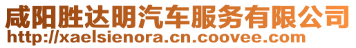 咸陽勝達明汽車服務有限公司