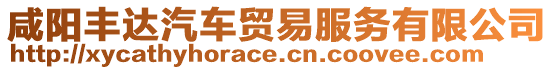 咸陽豐達(dá)汽車貿(mào)易服務(wù)有限公司