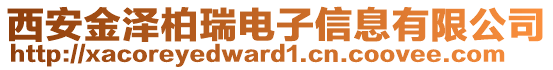 西安金澤柏瑞電子信息有限公司