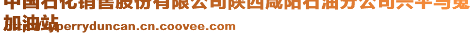 中國石化銷售股份有限公司陜西咸陽石油分公司興平馬嵬
加油站