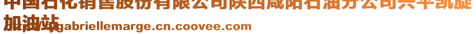 中國石化銷售股份有限公司陜西咸陽石油分公司興平凱旋
加油站