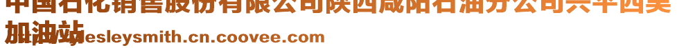 中國石化銷售股份有限公司陜西咸陽石油分公司興平西吳
加油站