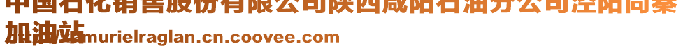 中國石化銷售股份有限公司陜西咸陽石油分公司涇陽尚秦
加油站