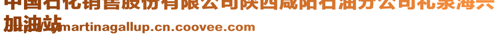 中國石化銷售股份有限公司陜西咸陽石油分公司禮泉海興
加油站