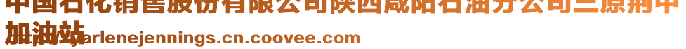 中國石化銷售股份有限公司陜西咸陽石油分公司三原荊中
加油站