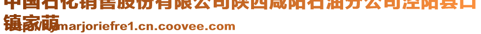 中國(guó)石化銷售股份有限公司陜西咸陽(yáng)石油分公司涇陽(yáng)縣口
鎮(zhèn)家萌