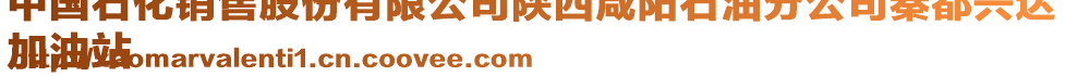 中國(guó)石化銷售股份有限公司陜西咸陽石油分公司秦都興達(dá)
加油站