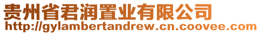 貴州省君潤置業有限公司