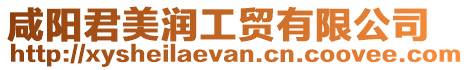 咸陽君美潤工貿有限公司