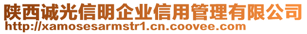 陕西诚光信明企业信用管理有限公司