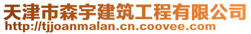 天津市森宇建筑工程有限公司