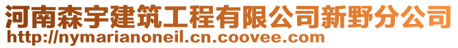 河南森宇建筑工程有限公司新野分公司