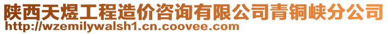 陜西天煜工程造價(jià)咨詢有限公司青銅峽分公司