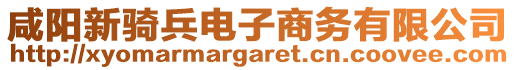 咸陽(yáng)新騎兵電子商務(wù)有限公司