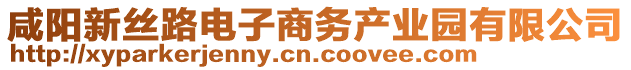 咸陽新絲路電子商務(wù)產(chǎn)業(yè)園有限公司