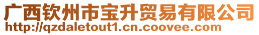廣西欽州市寶升貿易有限公司