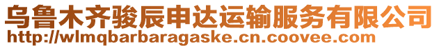 烏魯木齊駿辰申達運輸服務有限公司