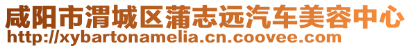 咸陽市渭城區(qū)蒲志遠(yuǎn)汽車美容中心